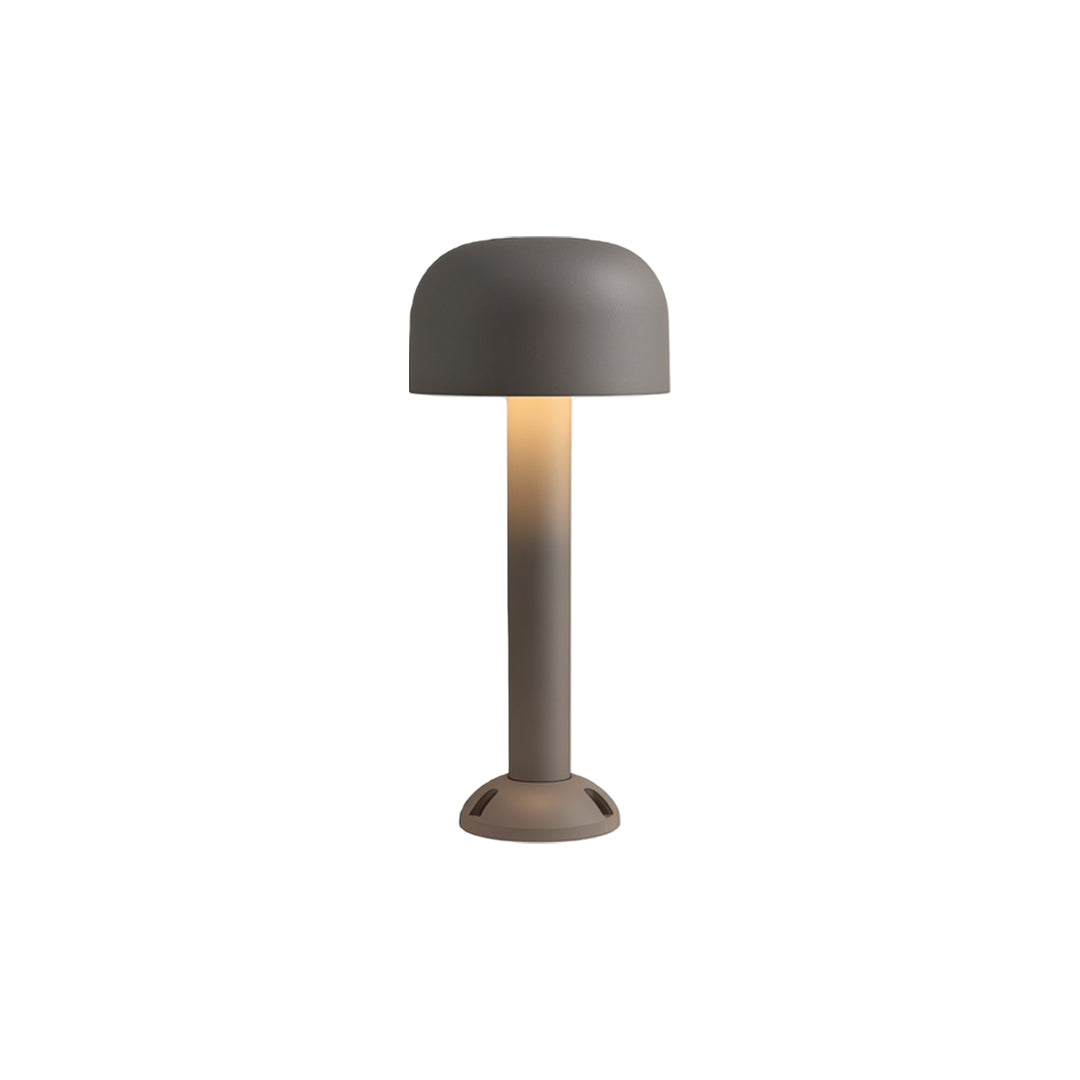 Landscape pathway lights with mushroom-style shade and modern LED bollard design in gray finish.