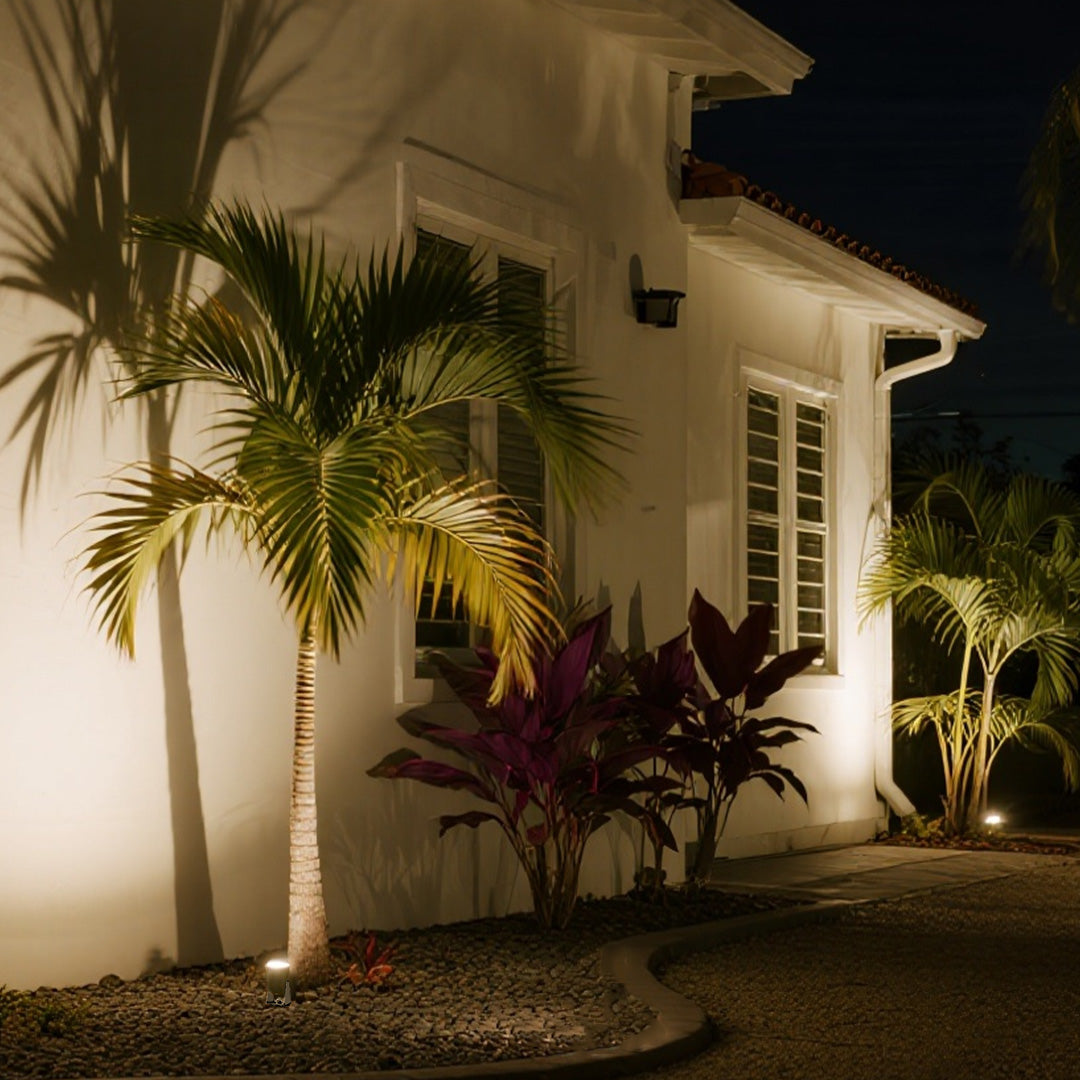 Landscape lighting spotlights illuminating tropical residential courtyard with palm trees and architectural wall features