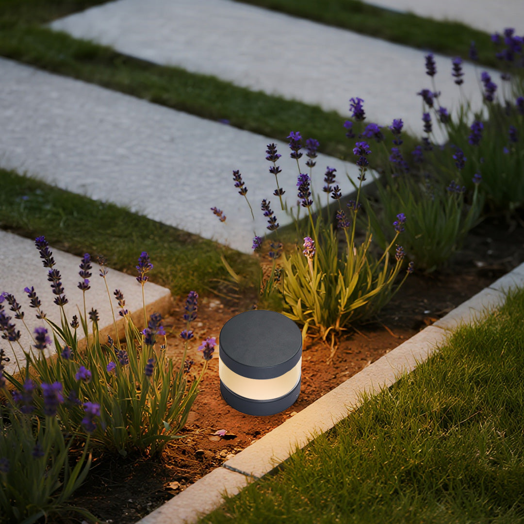 Contemporary path light providing gentle guidance lighting along lavender-lined walkway in residential landscape
