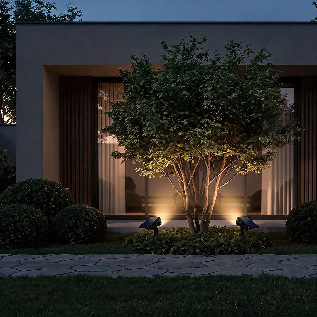 Lawn spot lights highlight a front-yard tree and surrounding shrubs outside a modern home at night.