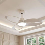 Close-up of modern ceiling fans with light showing the round LED diffuser and curved wood blades.