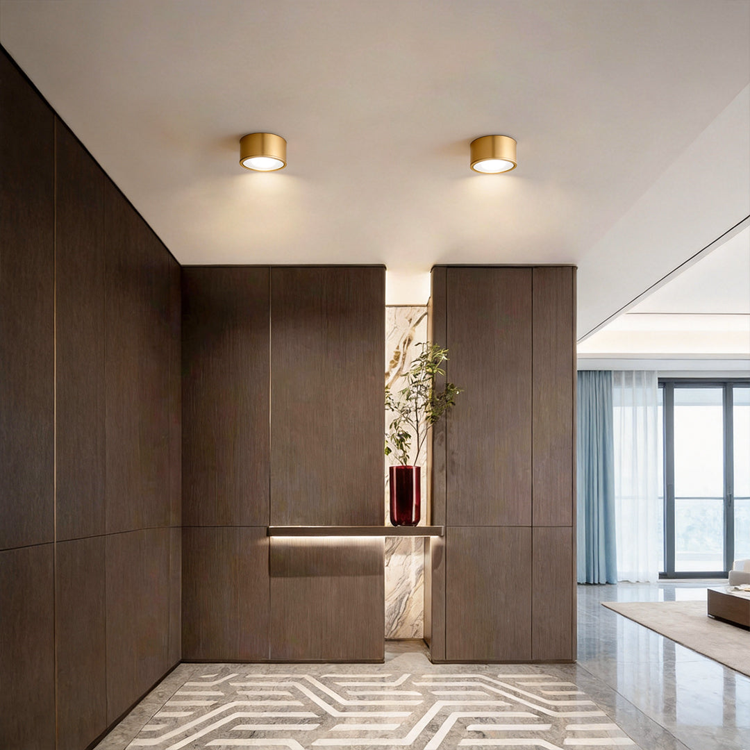 LED downlights installed in a modern entryway with warm ceiling lighting.