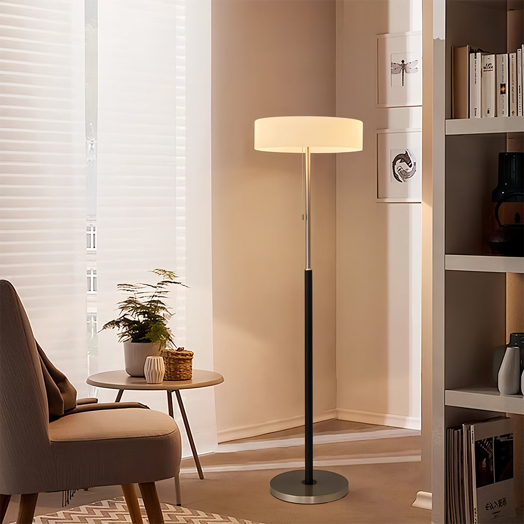 LED floor lamp providing task lighting in contemporary home office workspace
