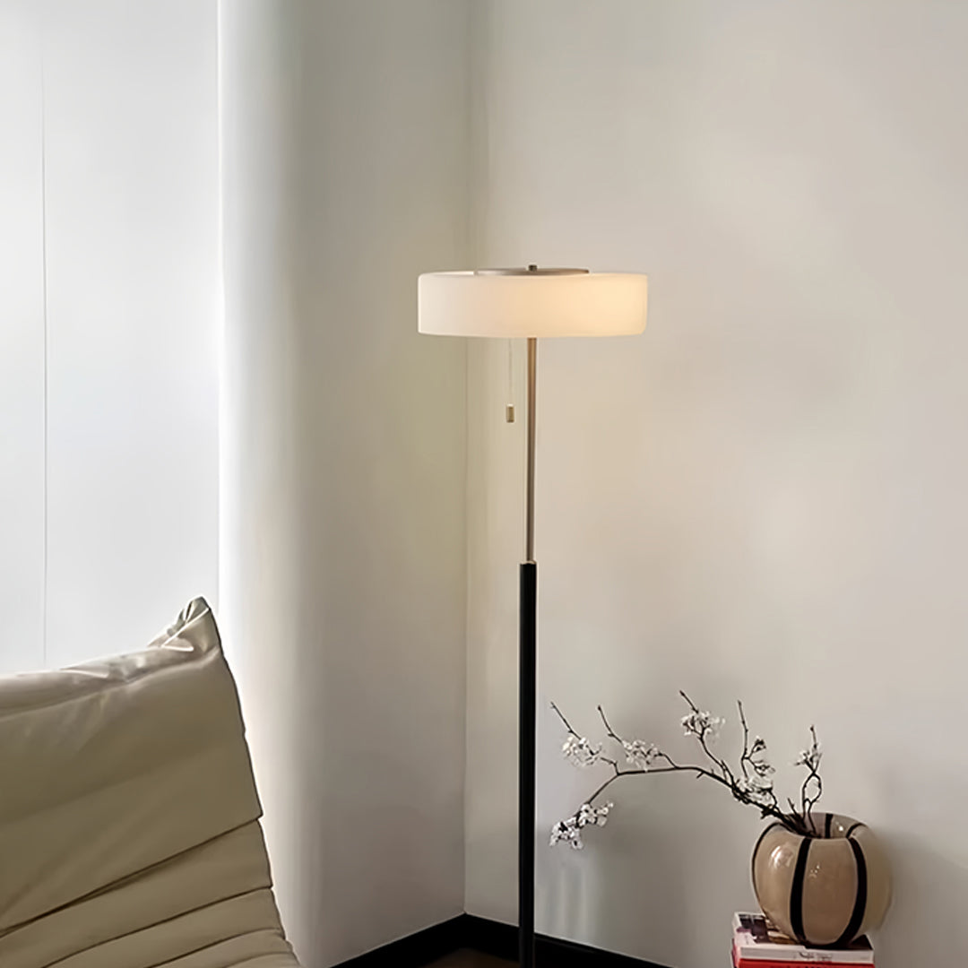 LED floor lamp creating sophisticated lighting in modern minimalist living area