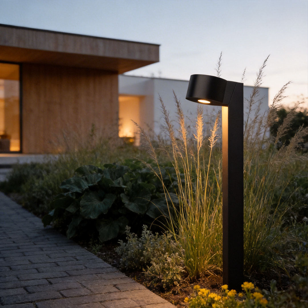 LED landscape path lighting installed beside a contemporary home walkway with ornamental grasses.