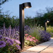 LED landscape path lighting installed beside blooming flowers, illuminating a curved garden walkway at dusk.