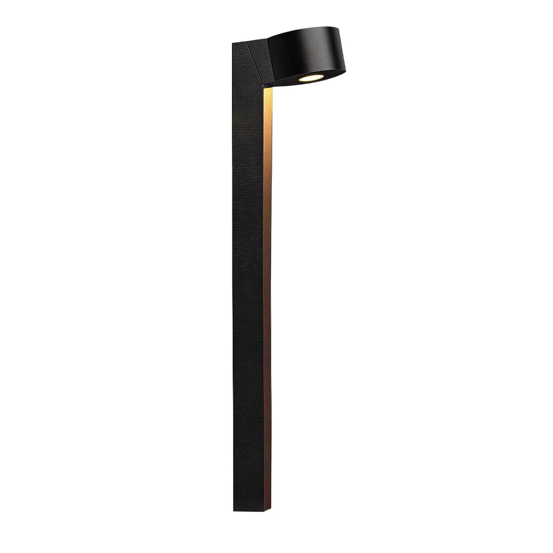 LED landscape path lighting in a white background product view showing a taller black path light design.