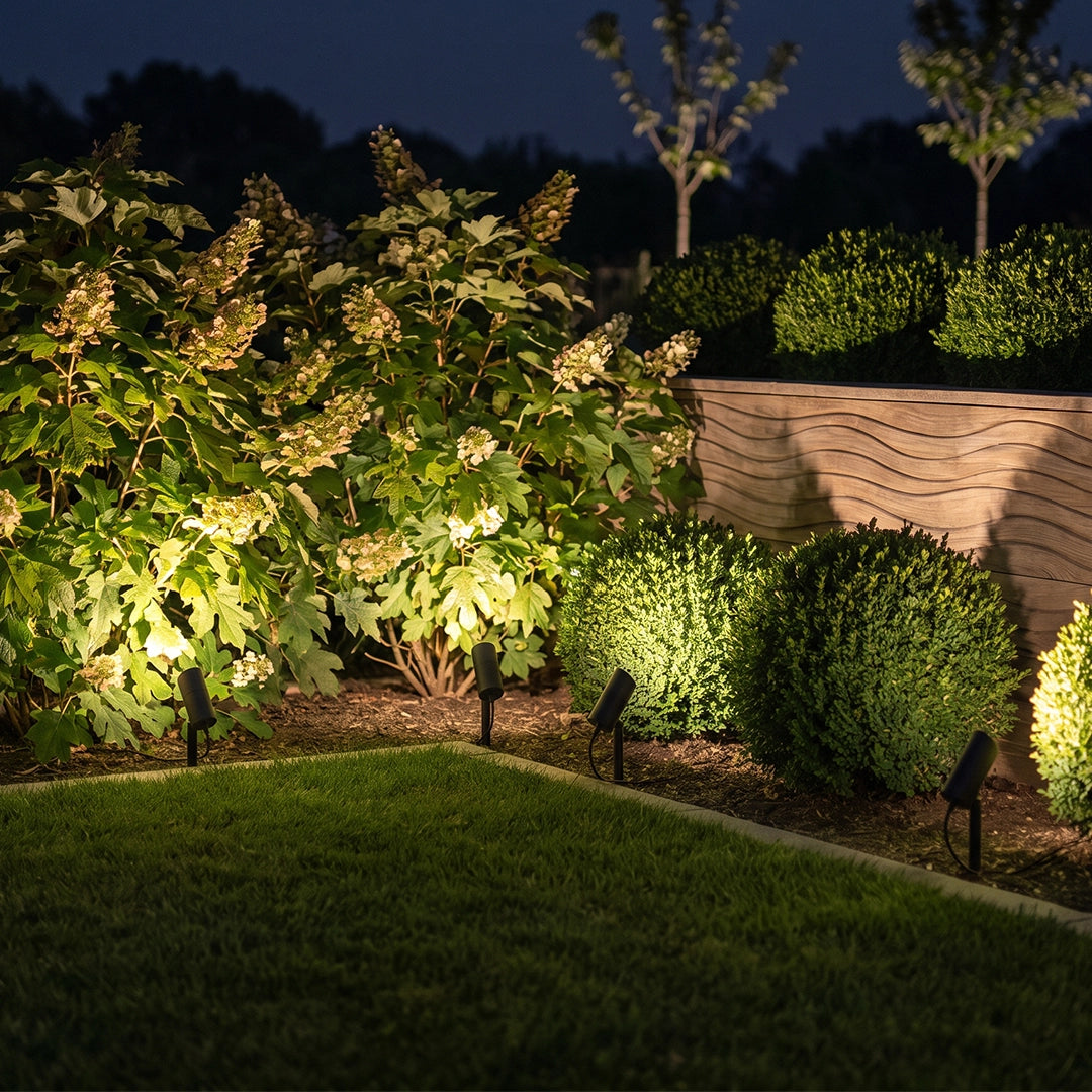 LED landscape spotlights illuminating shrubs and shaped bushes in a landscaped garden at night.