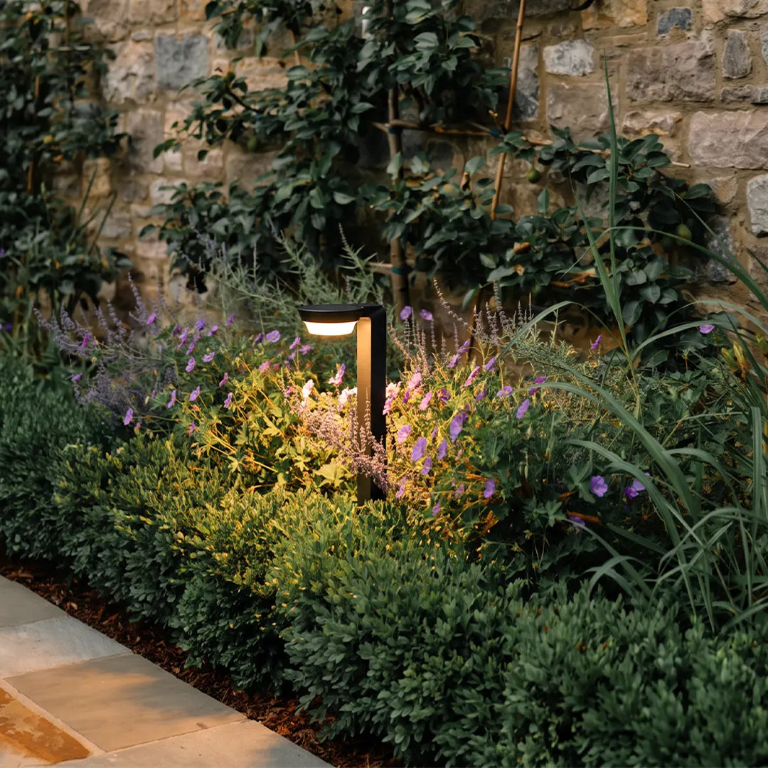LED path lighting illuminating a landscaped garden bed with purple flowers and greenery beside a stone wall at dusk.