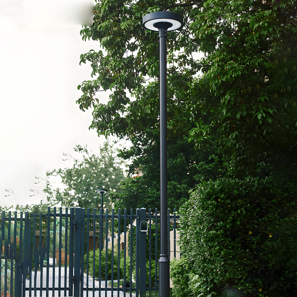 LED pole light providing bright illumination in a lush garden pathway.