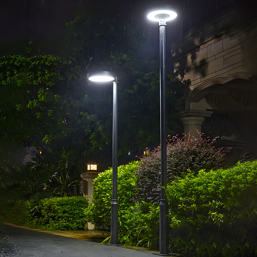 LED pole light with a round head, installed near a modern building entrance.
