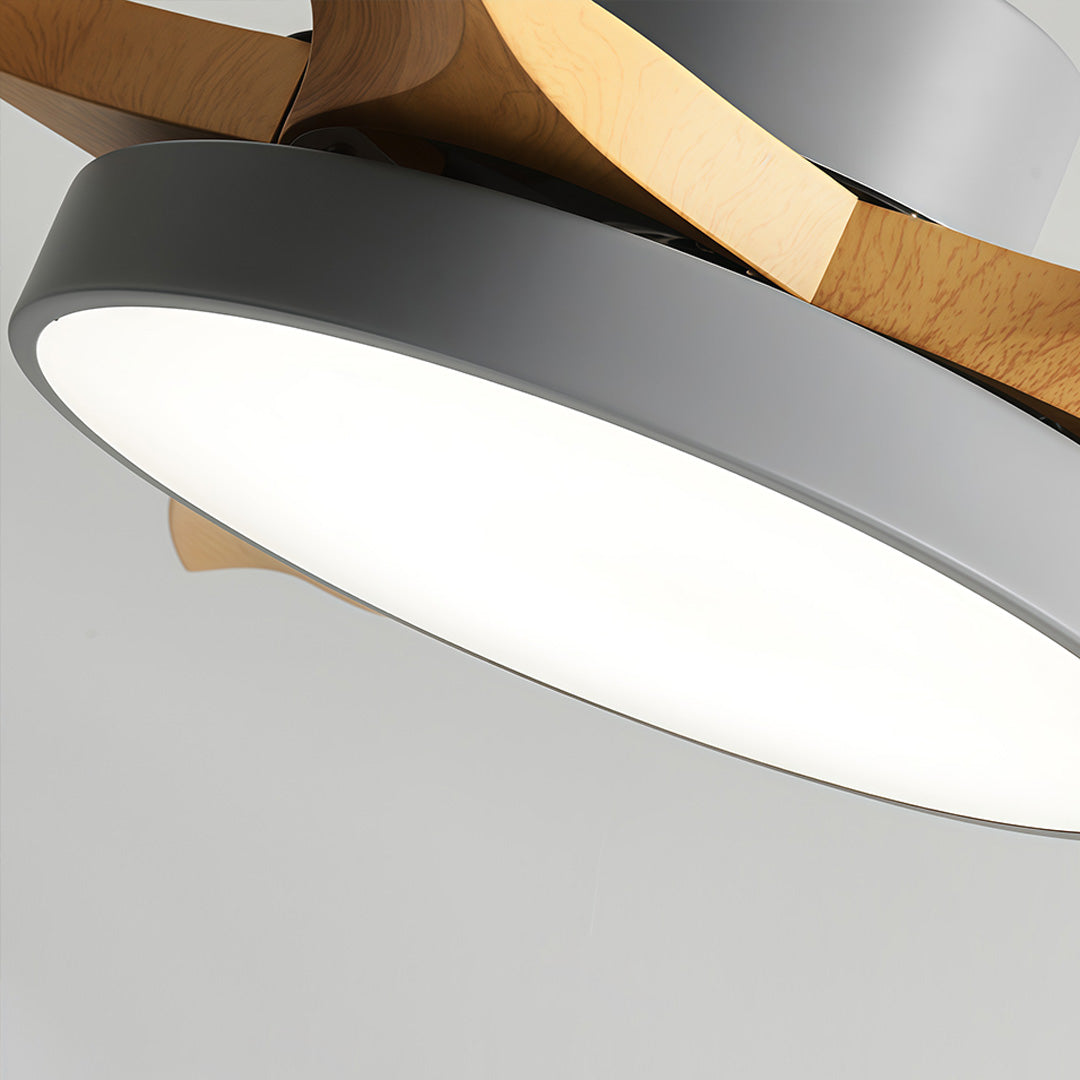 Close-up of the LED diffuser on a living room ceiling fan with lights, showing smooth curves and integrated lighting design.