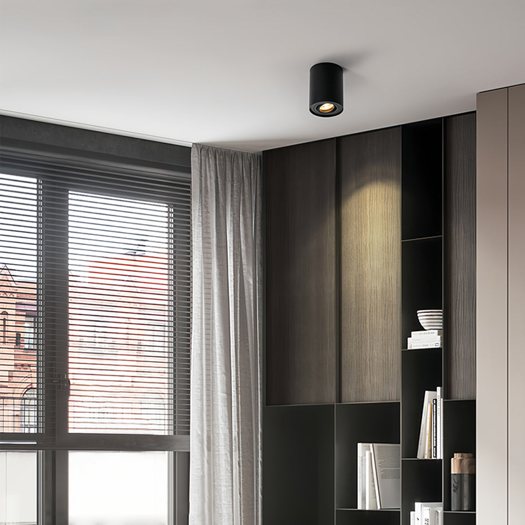 Contemporary living space featuring black surface mounted downlight installation with stylish design