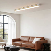 Long strip ceiling light providing bright illumination in a modern living room with large windows.