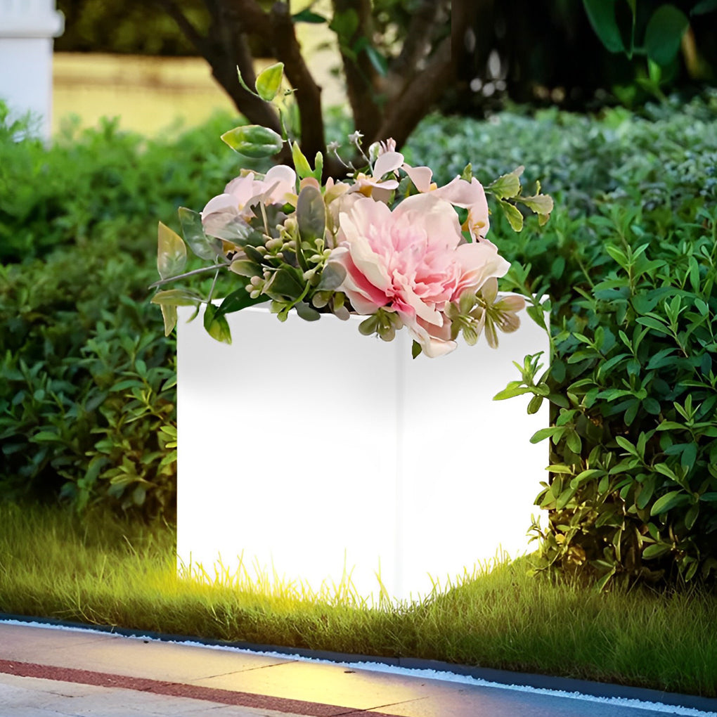 Luminous flower pots with a close-up of their glowing base and decorative plant.