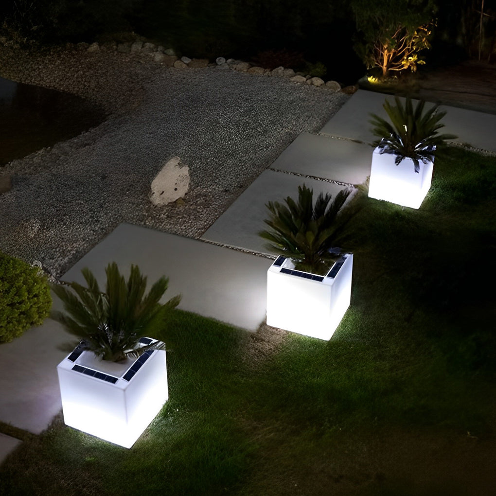 Luminous flower pots with a close-up of their glowing base and green leaves.