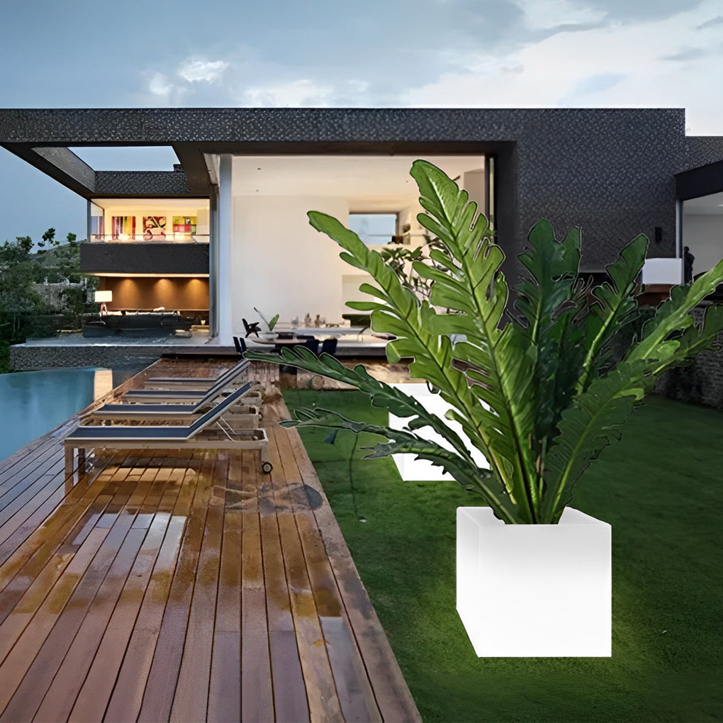 Luminous flower pots with a close-up of their glowing base and plant.