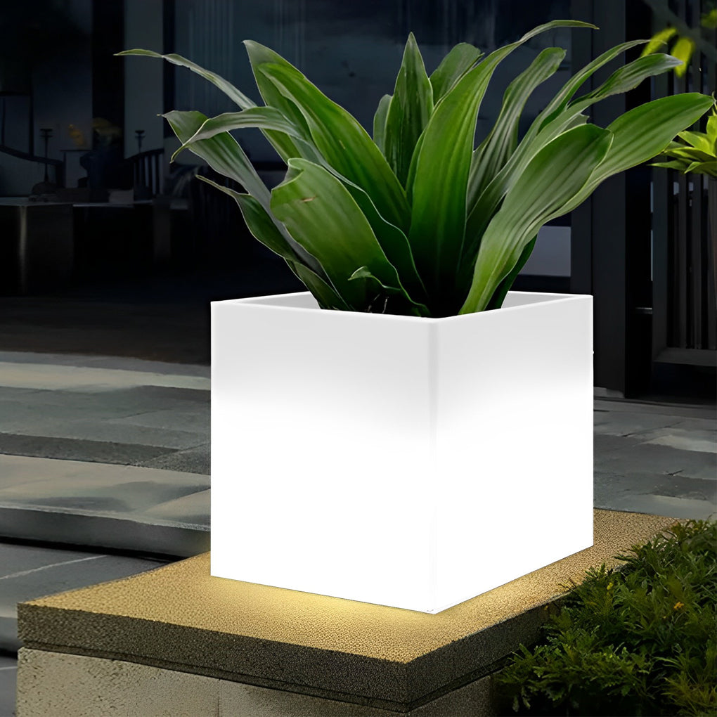 Luminous flower pots with a green plant, providing ambient light in an outdoor space.