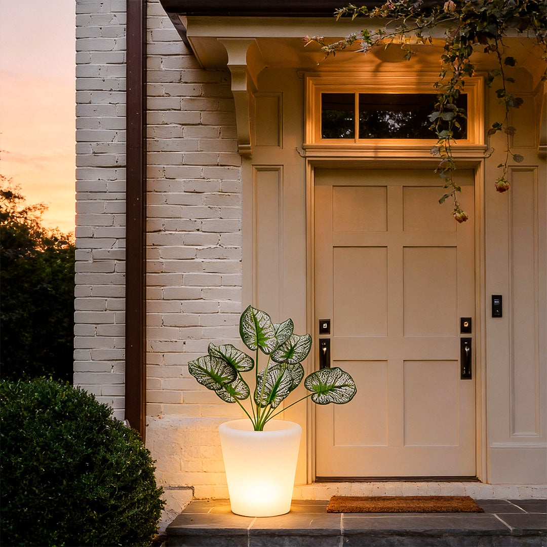 Luminous flower pots adding elegance to a rustic front porch with a wooden door.