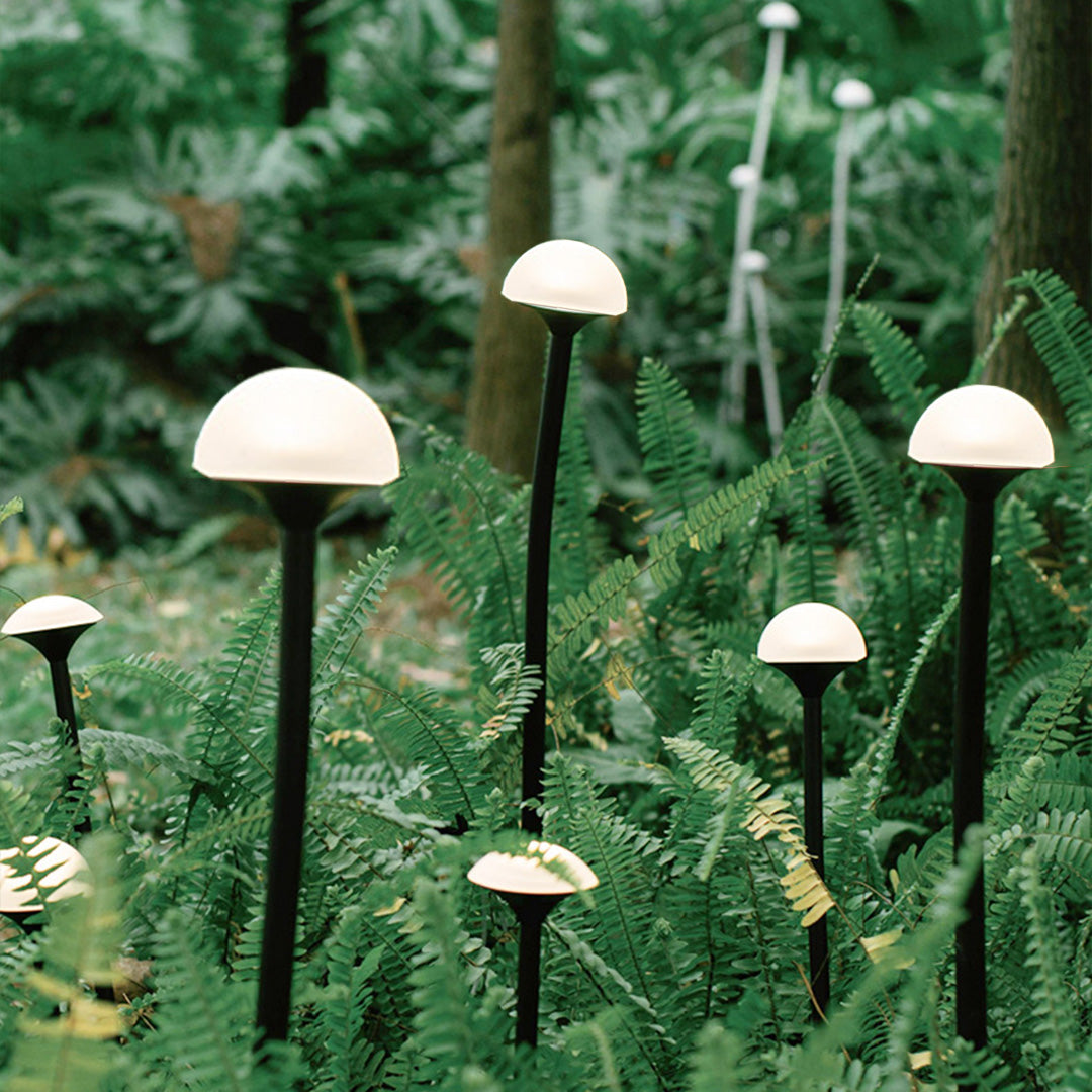 Garden lights landscape providing pathway guidance through lush garden with multiple fixture arrangement