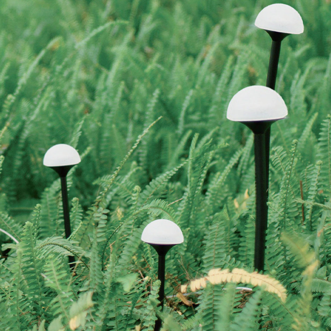 Cluster of mushroom-style garden lights landscape fixtures creating magical illumination in tall grass meadow