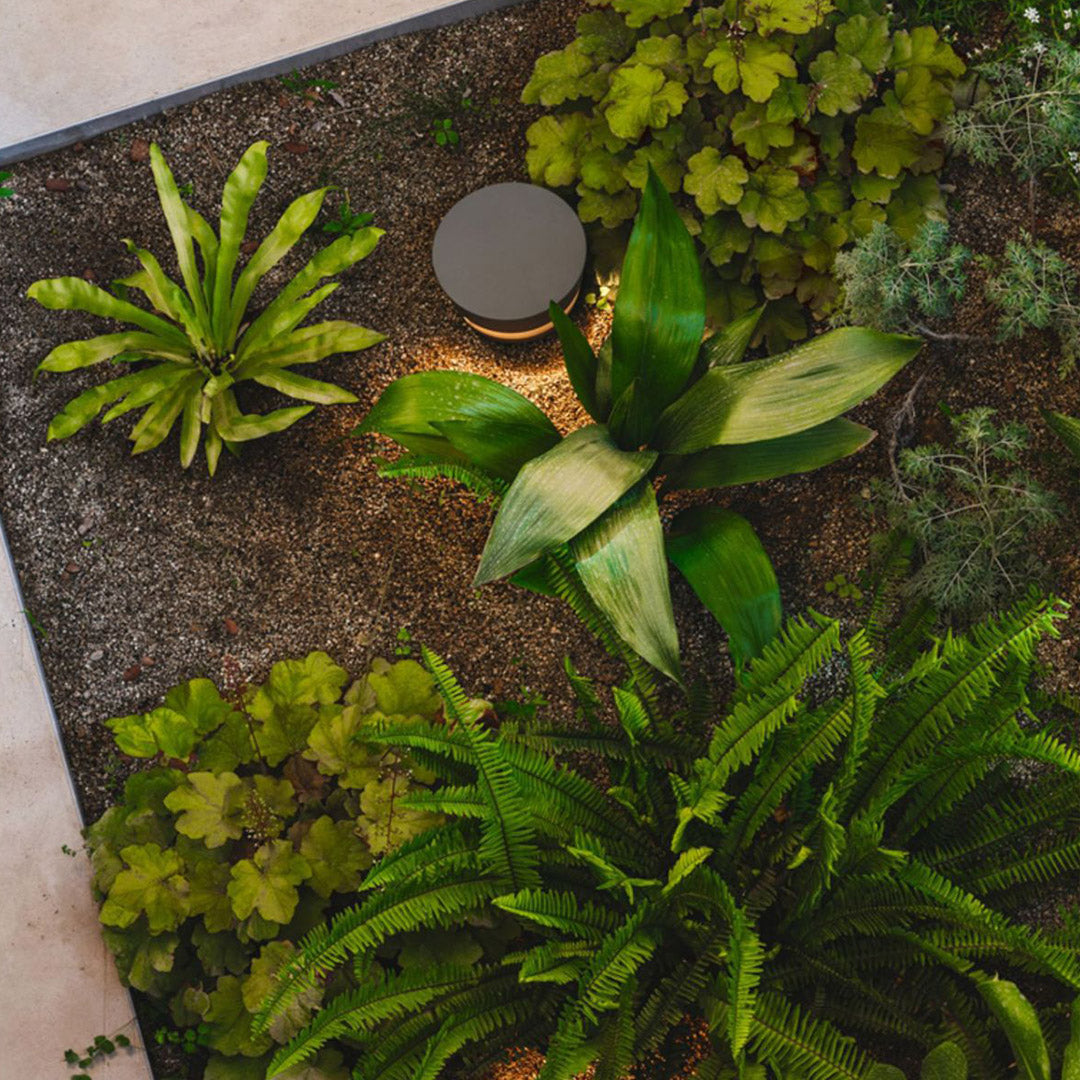 Minimalist round black pathway lights set into a gravel and mulch landscape, blending seamlessly with outdoor planting beds.