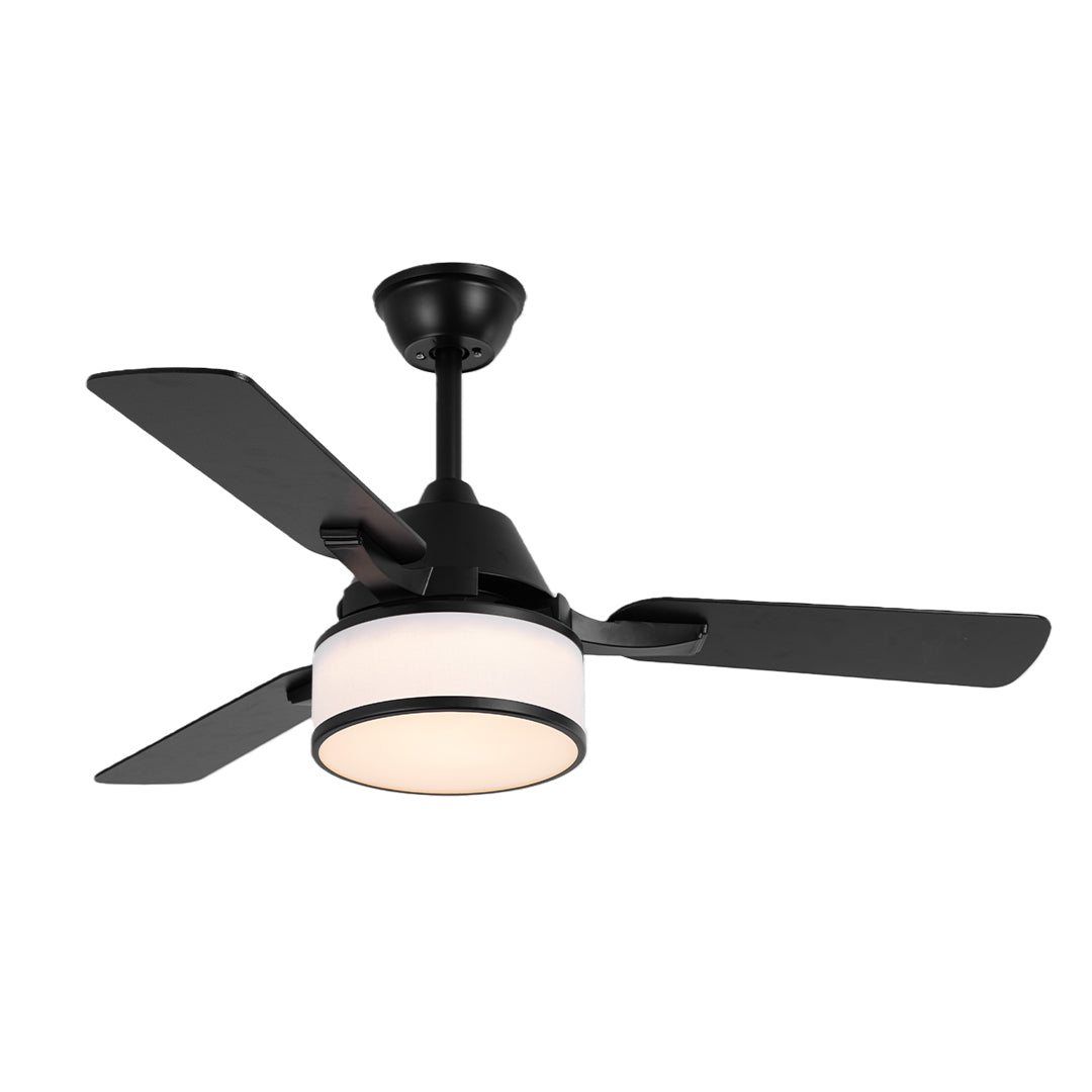 Modern 42-inch ceiling fan with light, sleek and functional indoor fixture