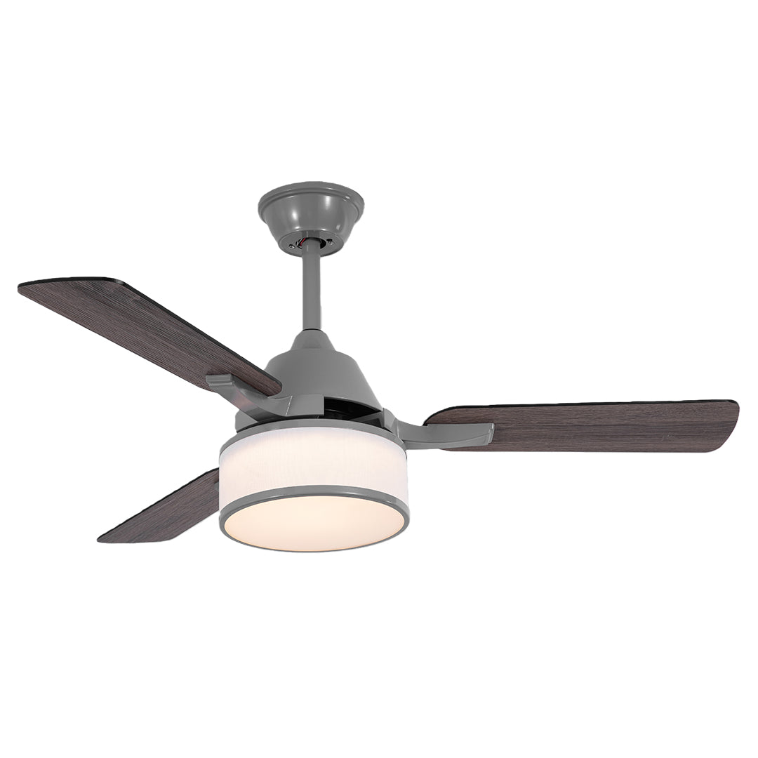 Modern 52-inch ceiling fan with light, elegant and contemporary indoor fixture