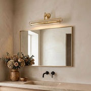 Dimmable adjustable bathroom vanity lights