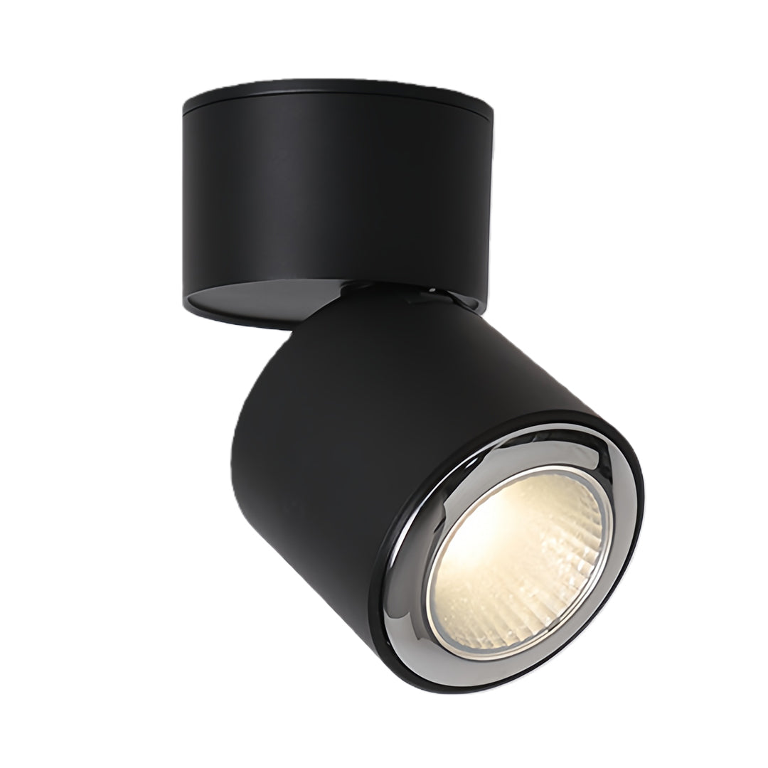 Modern adjustable spotlight with black finish and adjustable angle for task lighting