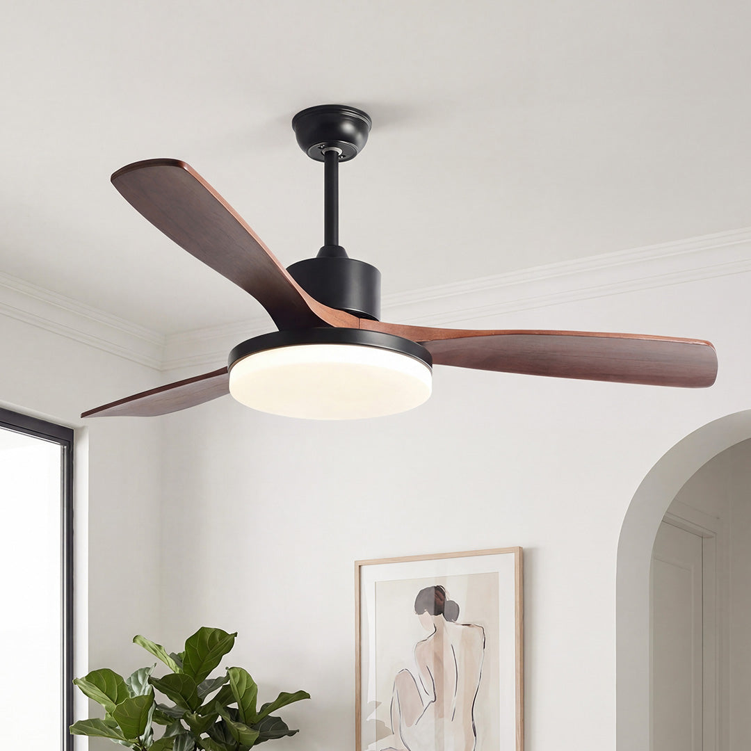 Modern black ceiling lights with fan featuring three curved wood blades and a round frosted white shade in a bright, contemporary room.
