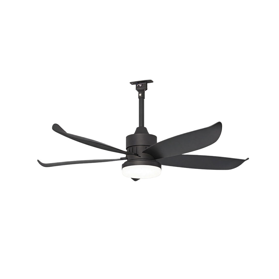Modern ceiling fans with lighting featuring black curved blades, a downrod mount, and an integrated light.