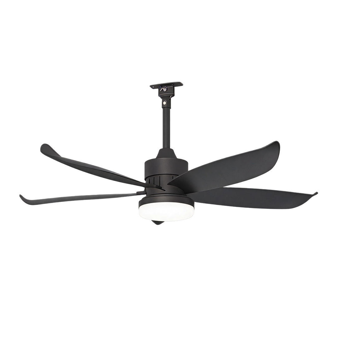 Modern ceiling fans with lighting shown in a clean product view with black aerodynamic blades and a central light.