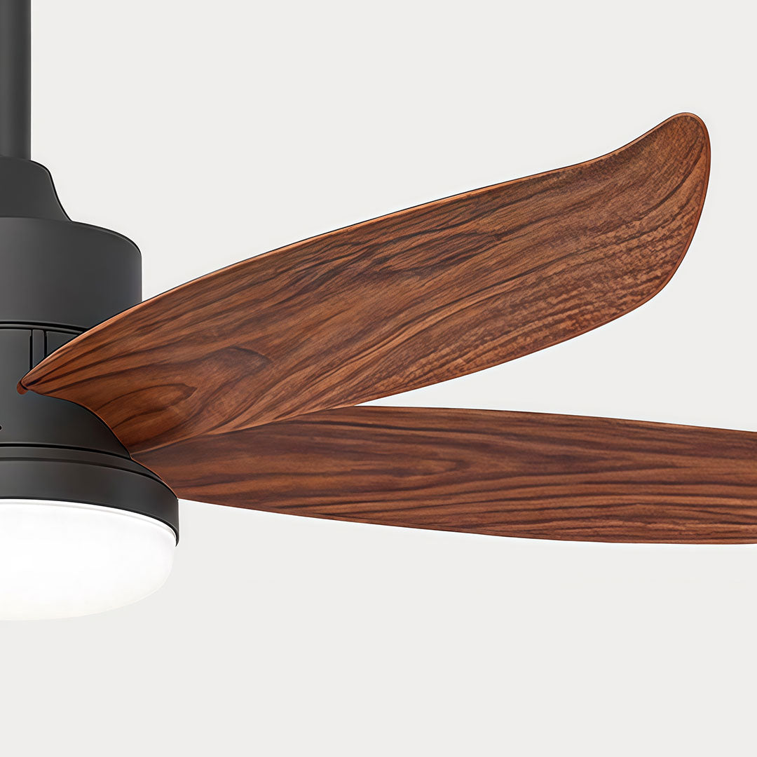 Close-up of modern ceiling fans with lighting featuring carved wood blades and a black motor housing.