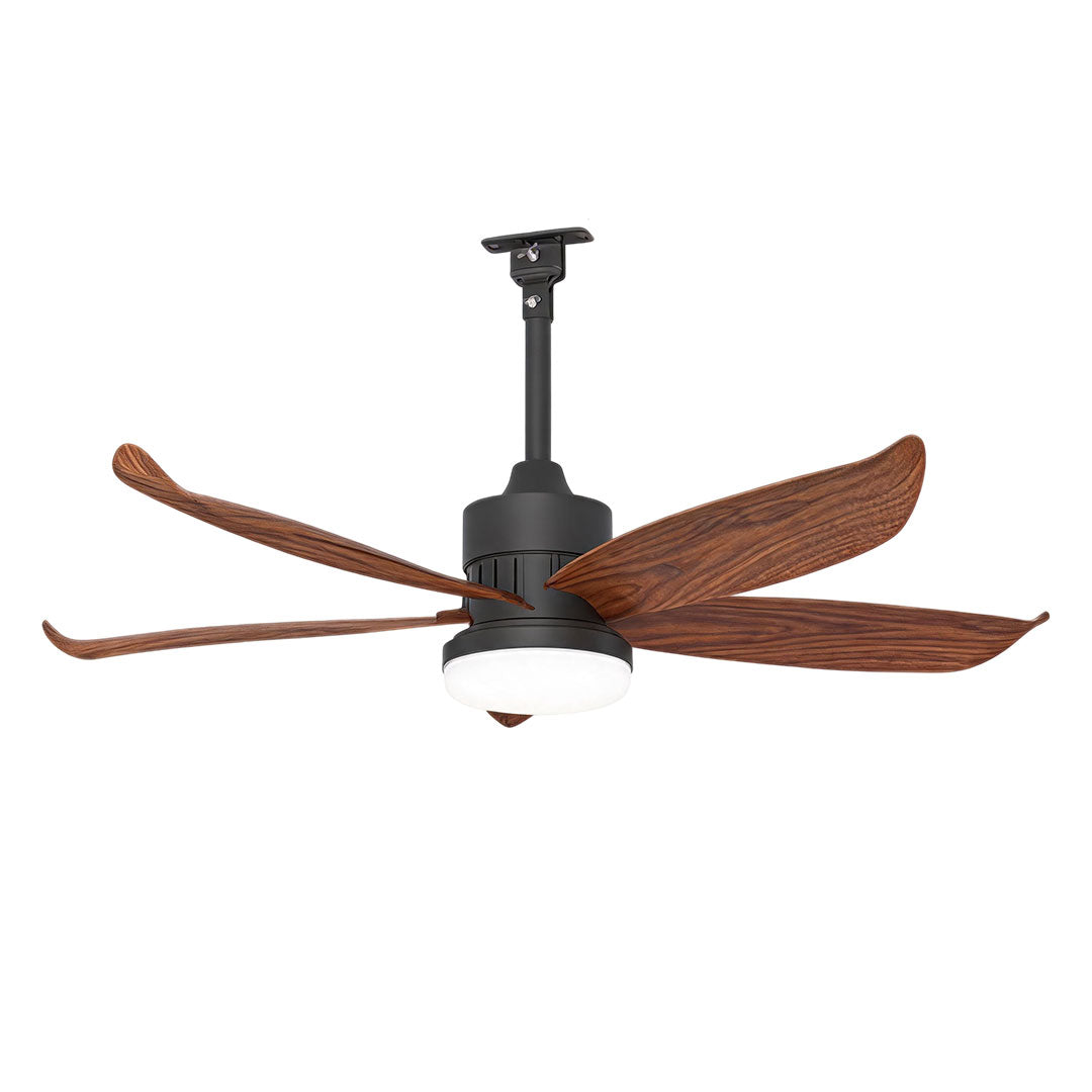 Modern ceiling fans with lighting displayed in a product view with sculpted wood blades and a compact light fixture.