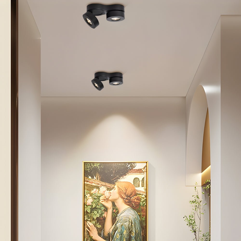 Modern Double Head Rotating Folding Ceiling - Mounted Spotlight in Black/White