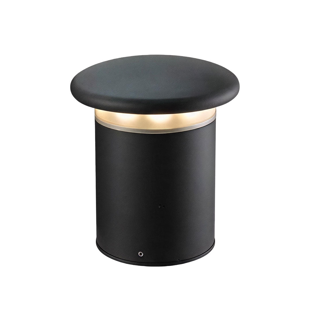 Driveway bollard lights for residential landscapes