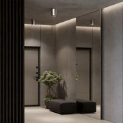 Modern entryway with silver ceiling spotlights enhancing the contemporary design.