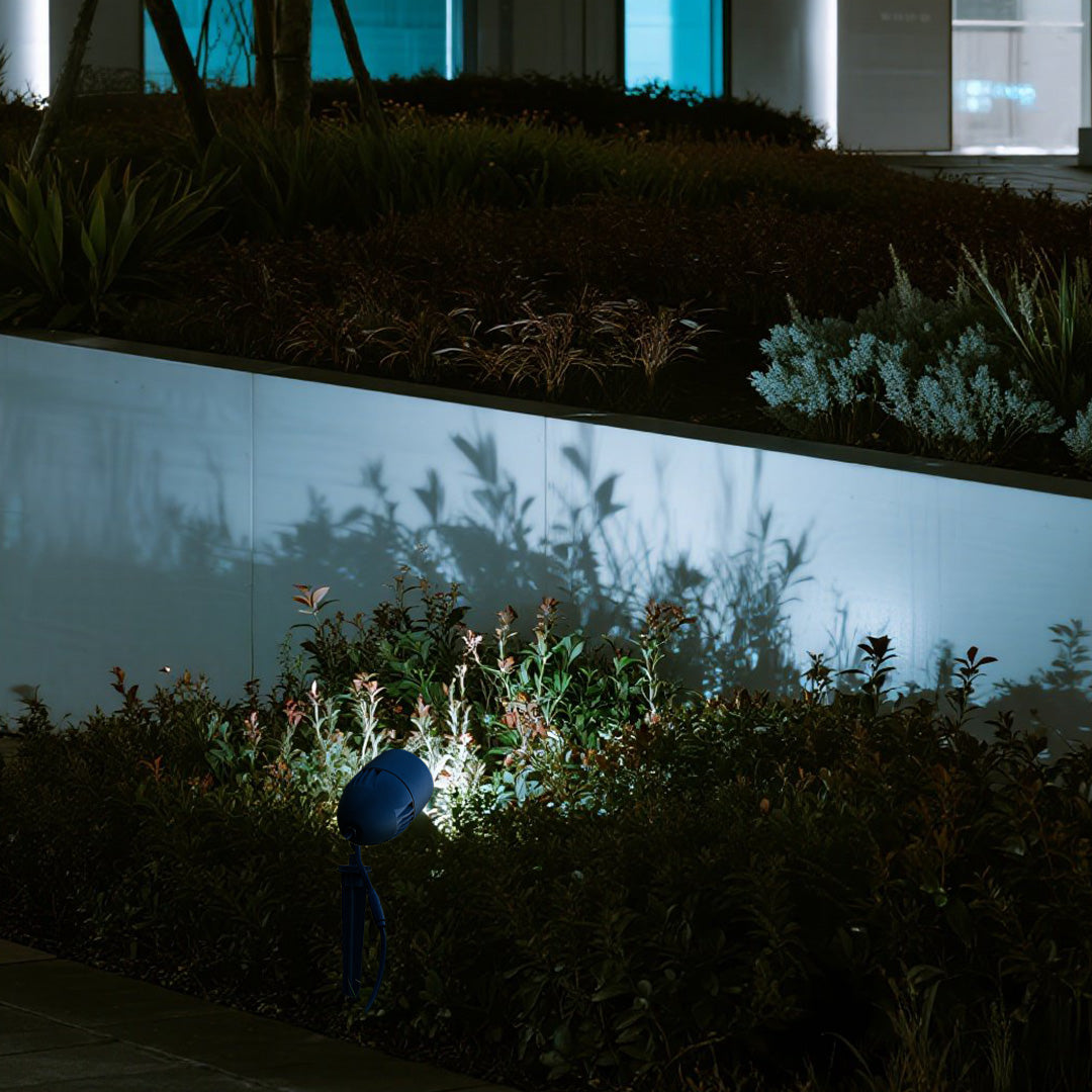 Modern landscape lighting showcasing contemporary pool area with dramatic tree illumination at night