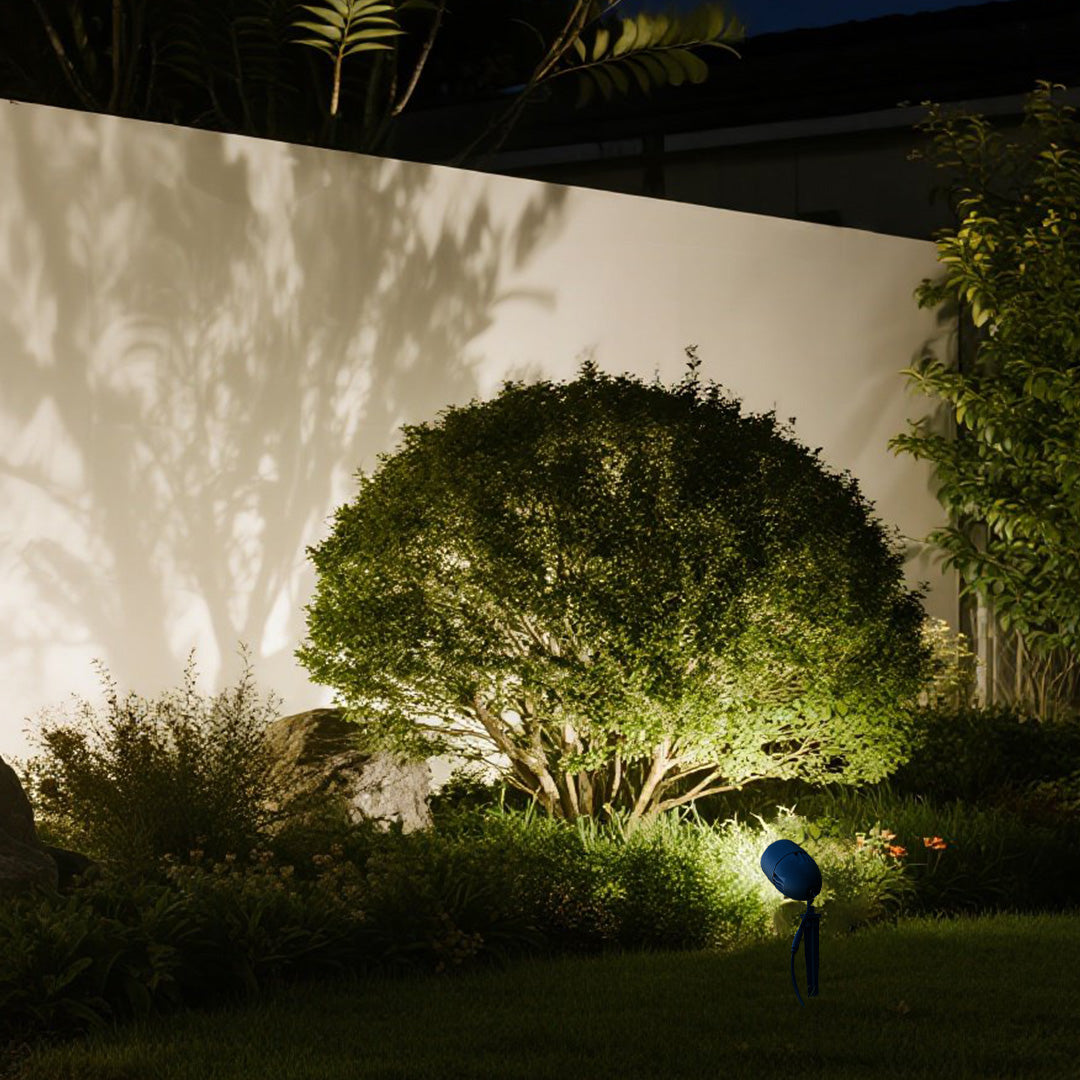 Modern landscape lighting showcasing contemporary pool area with dramatic tree illumination at night