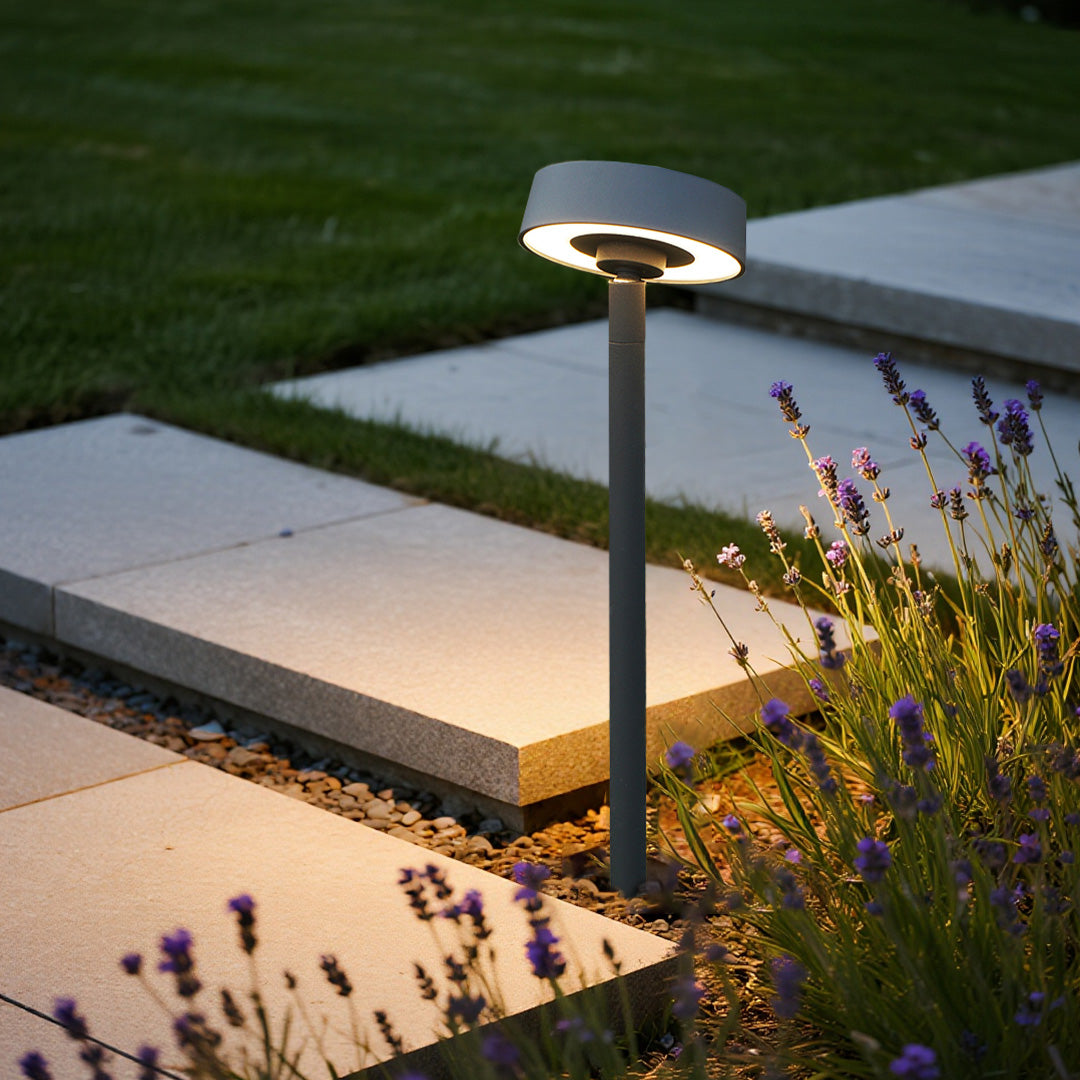 Modern landscape outdoor lights positioned beside concrete walkway providing functional and aesthetic outdoor illumination