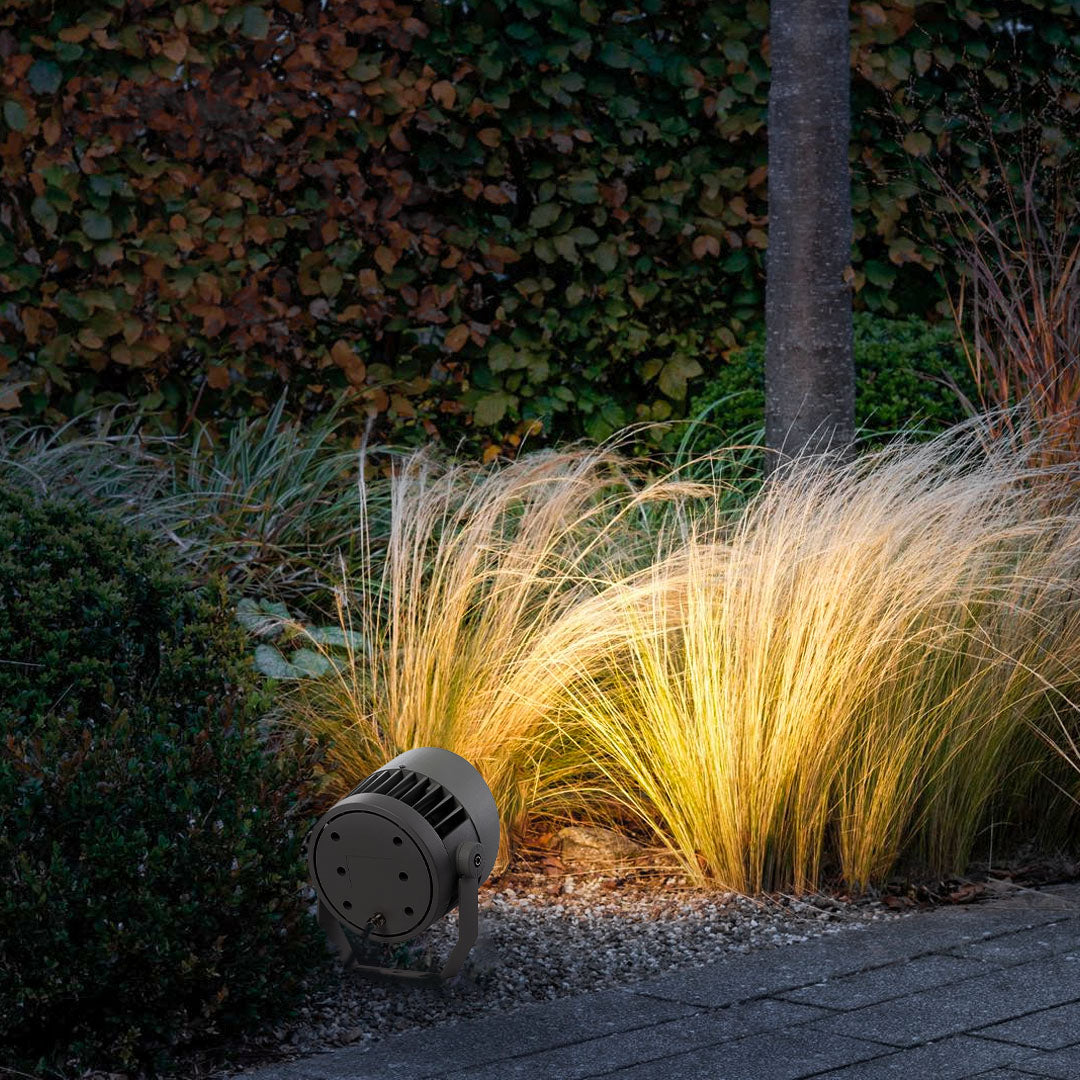 Modern spotlight for landscape illuminating contemporary building entrance with uplighting effect