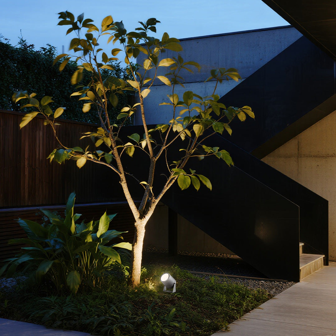 Modern LED landscape spotlight highlighting decorative tree in upscale residential garden