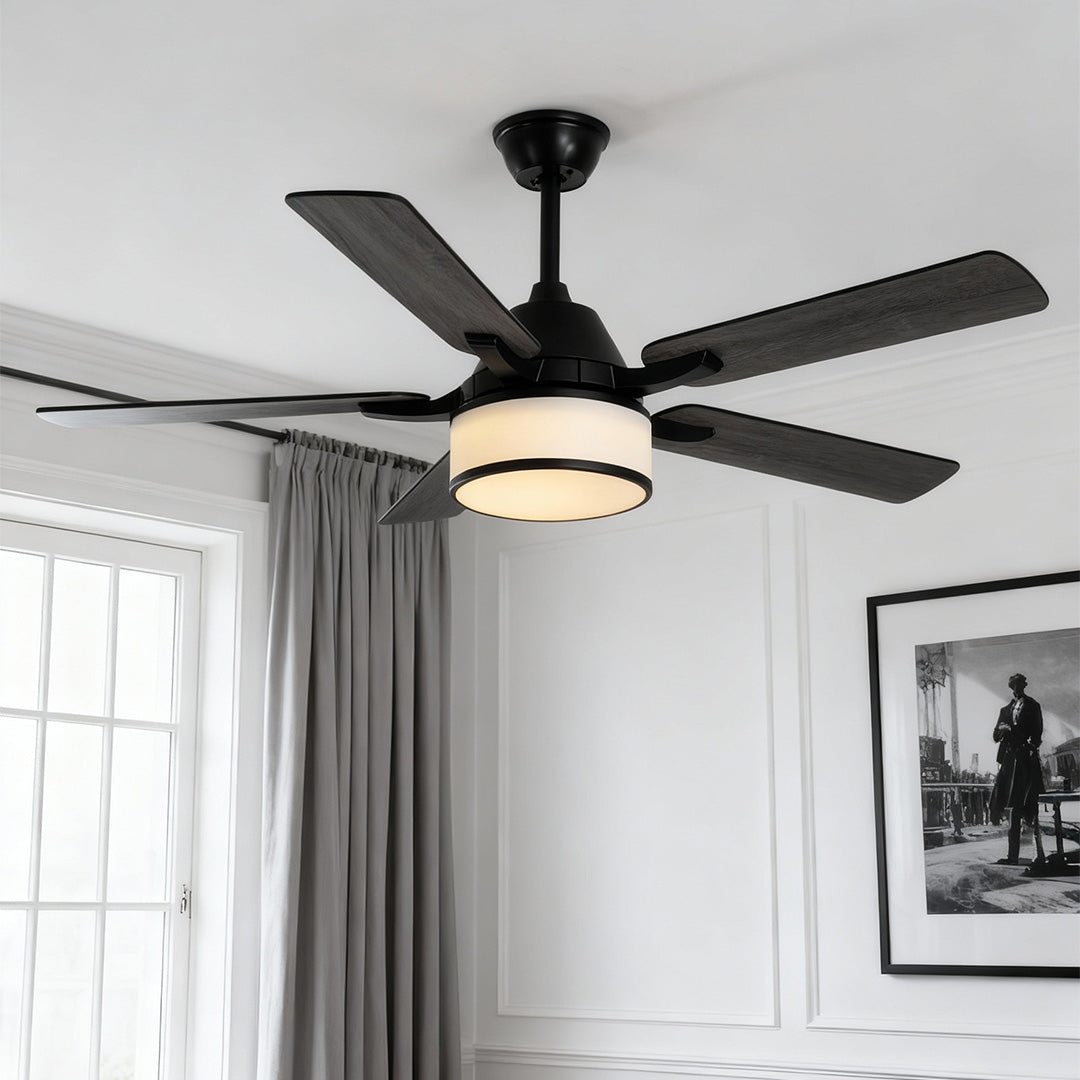 42 to 52 inches ceiling fan with light in a modern living room, elegant and functional indoor fixture