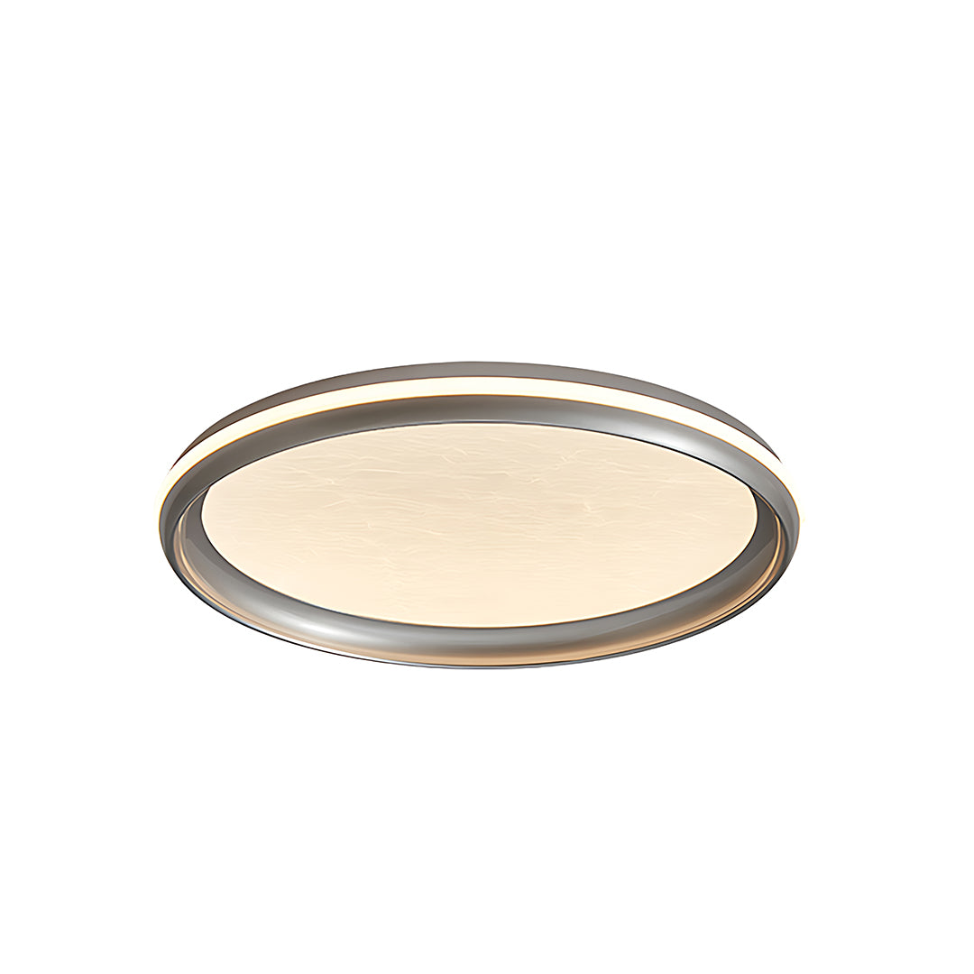 Modern metal flush mount light with sleek circular design, elegant ceiling lighting fixture