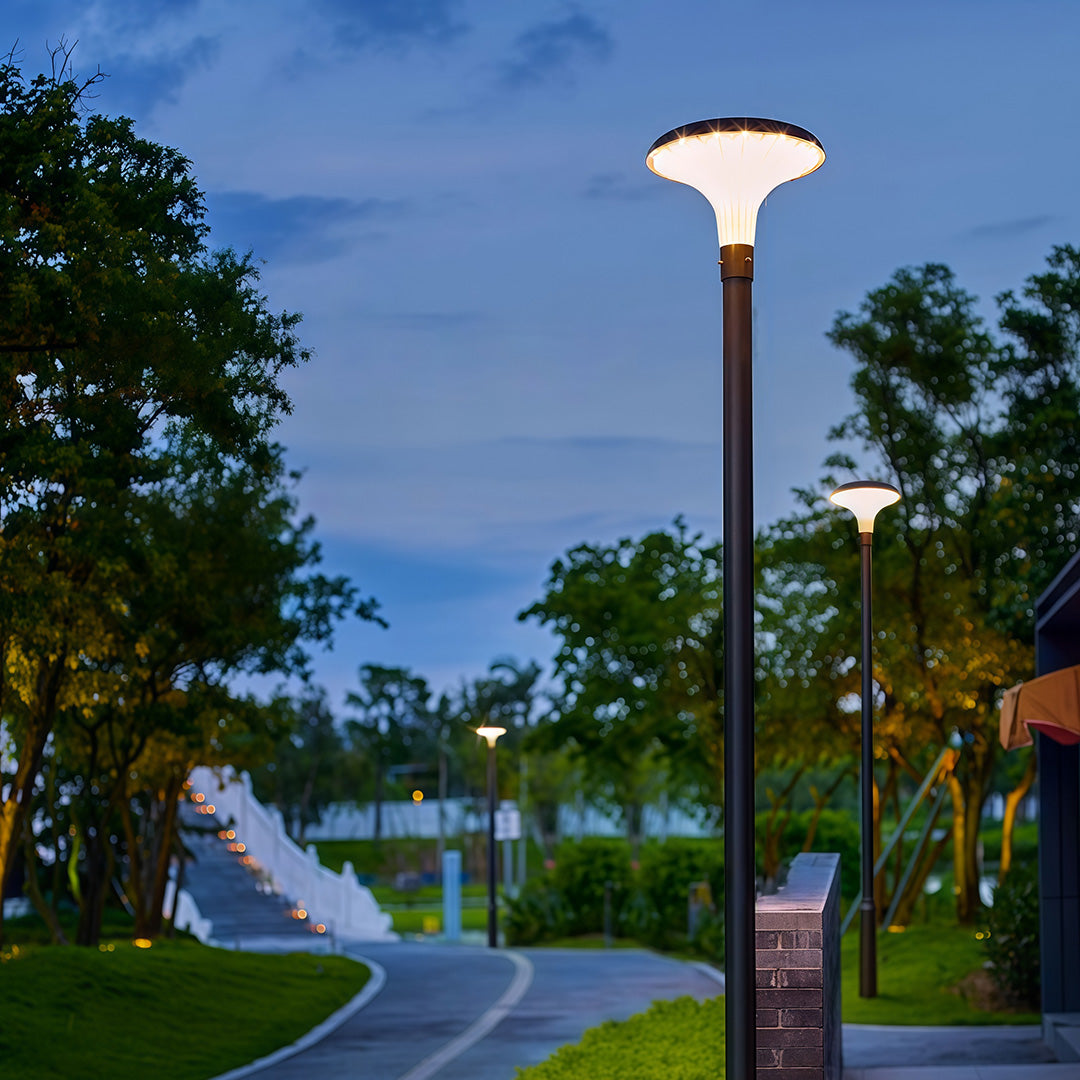 Modern street light standing tall, illuminating a peaceful urban walkway at dusk.