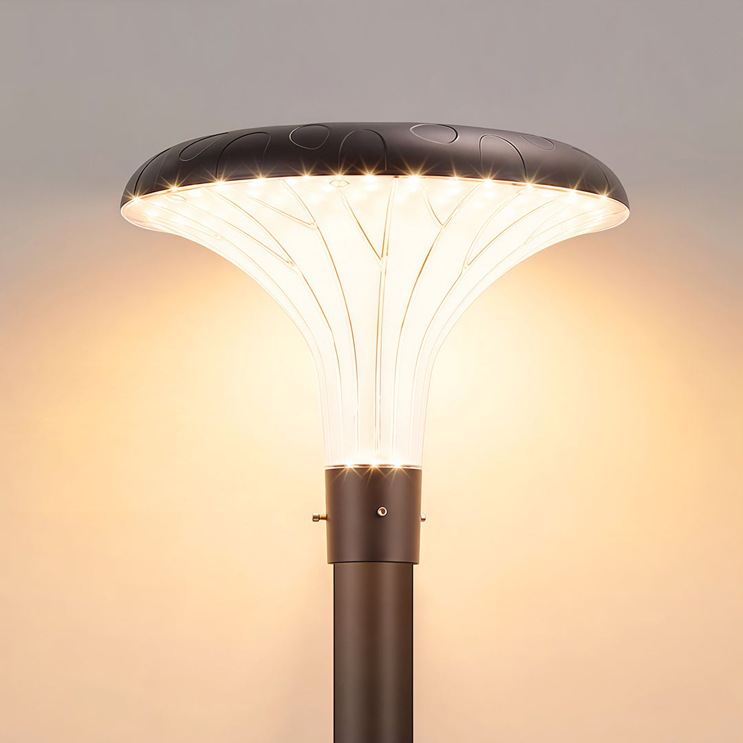 Modern street light mounted along a walking path, offering clear and even illumination at night.