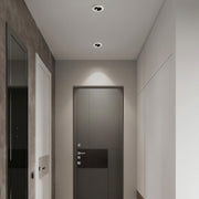 Directional Recessed Downlight Full-Spectrum LED Light