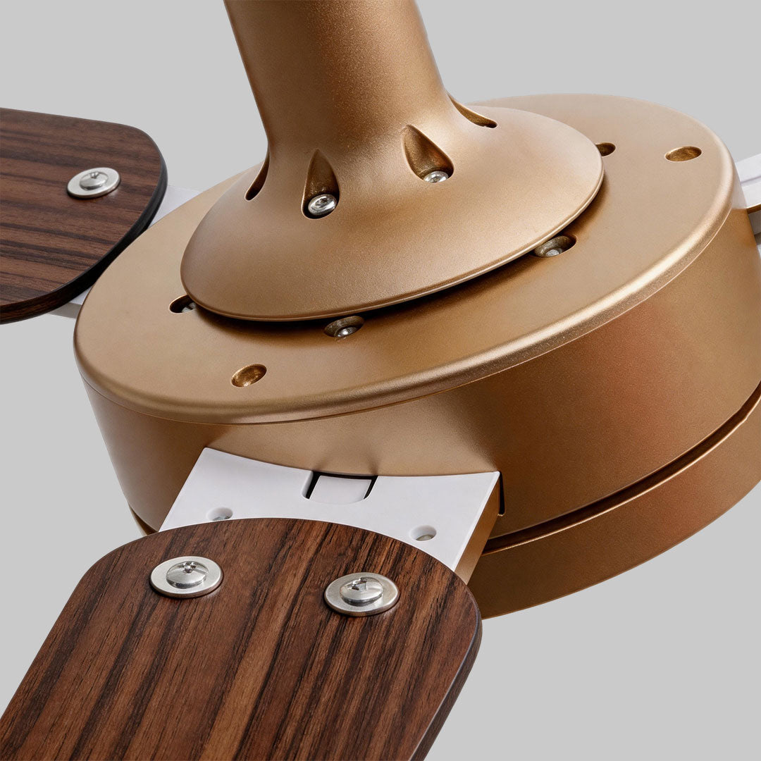 Close-up of copper ceiling fan with light showing the motor housing and dark wood blade connection.