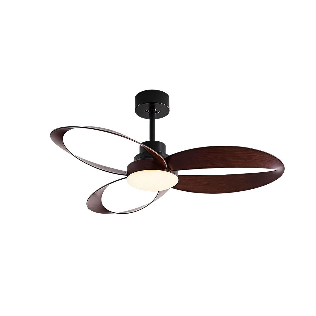 Close-up of modern ceiling fans with light showing the black motor housing and curved wood blades.